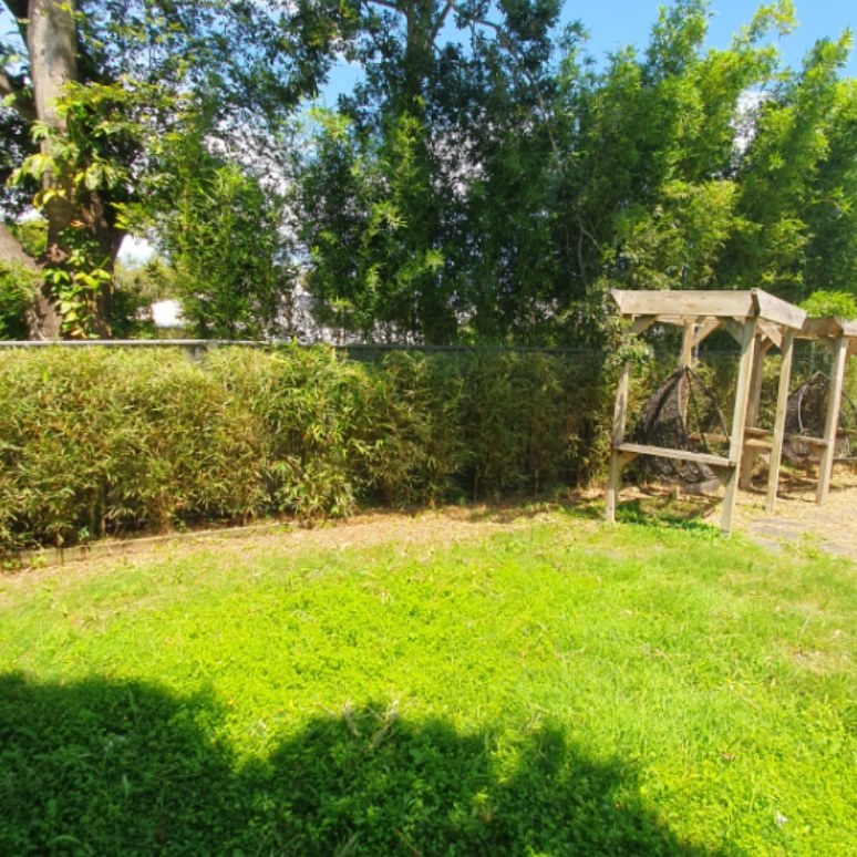 Backyard with hedge trimmed and lawn mowed