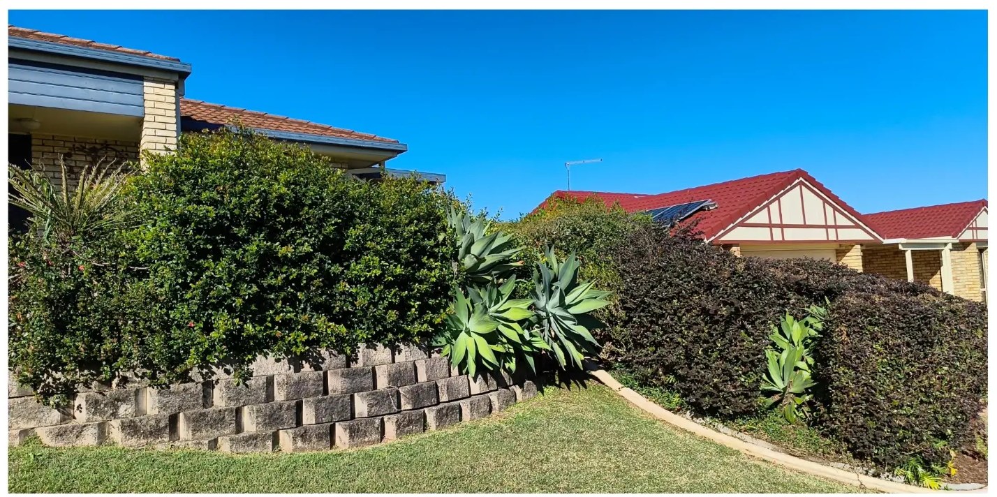 Front hedges before a trim