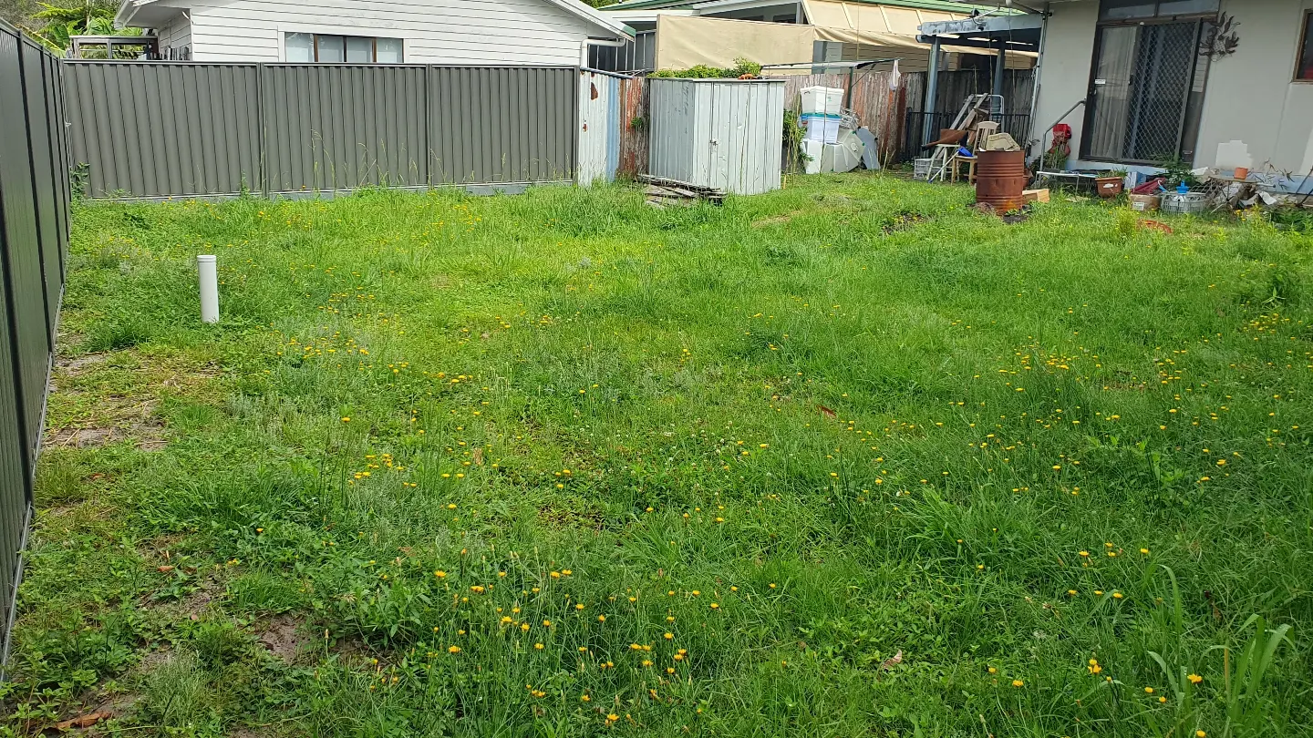 Backyard with very long grass before mowing