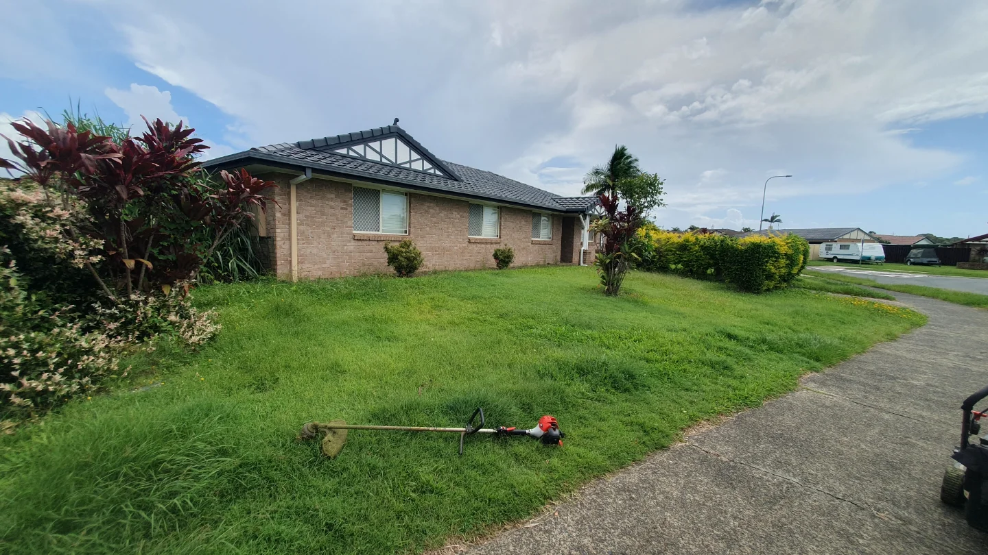 Overgrown front lawn mid job, trimmer on the grass