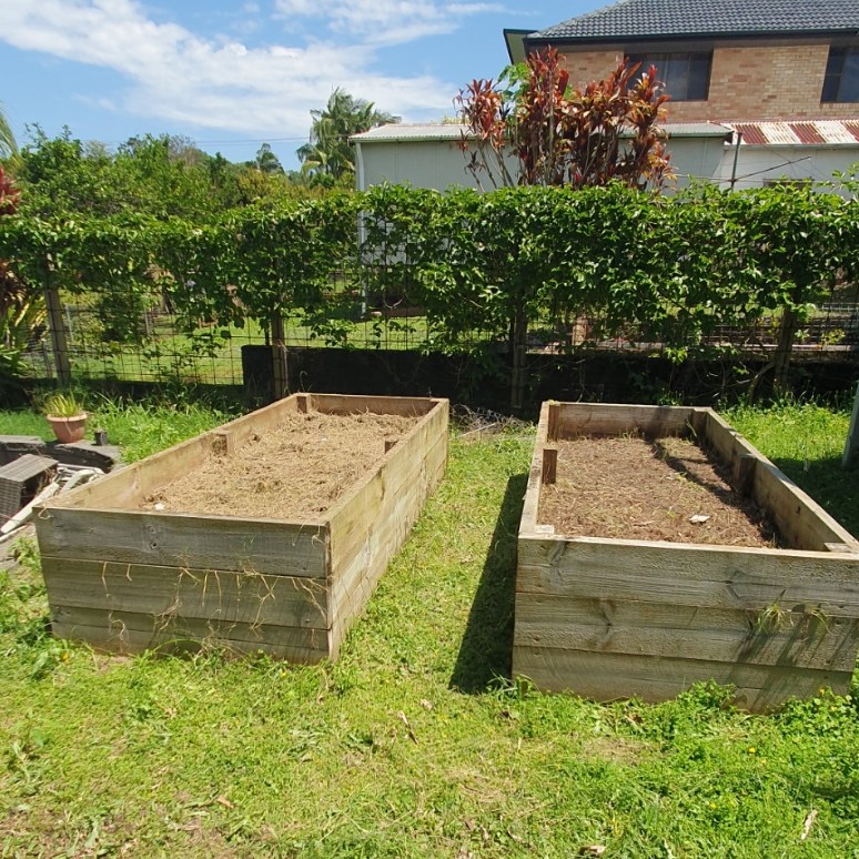 Two timber raised beds cleared and ready to plant