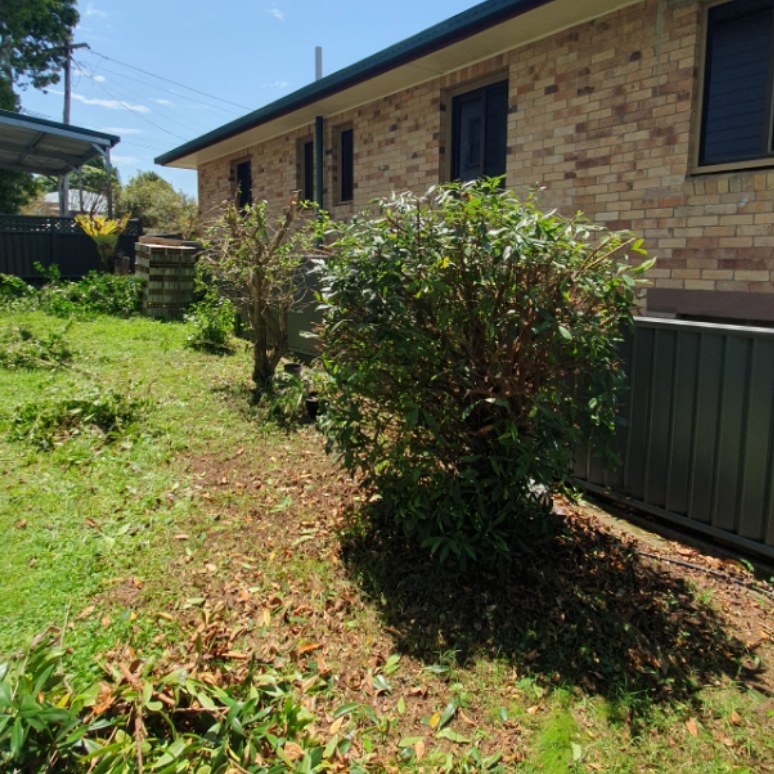 Side yard with shrub pruned and lawn mowed